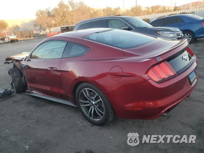 Drugie zdjęcie samochodu z przodu: 2016 FORD MUSTANG VIN:1FA6P8TH0G5243588 - miniatura