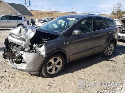 2014 FORD ESCAPE SE 1FMCU9GX8EUE54629 - główne zdjęcie licytacji z USA - miniatura