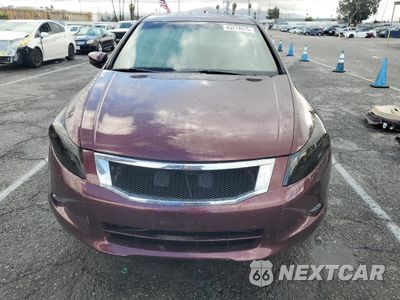 Piąte zdjęcie samochodu w środku: 2010 HONDA ACCORD EXL VIN:5KBCP3F8XAB018999 - miniatura