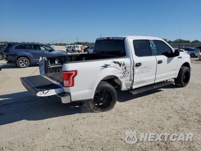 Trzecie zdjęcie samochodu z tyłu: 2017 FORD F150 SUPERCREW VIN:1FTEW1CP5HFB67966 - miniatura
