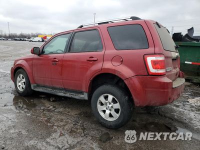 Drugie zdjęcie samochodu z przodu: 2011 FORD ESCAPE LIMITED VIN:1FMCU0EG7BKA43003 - miniatura
