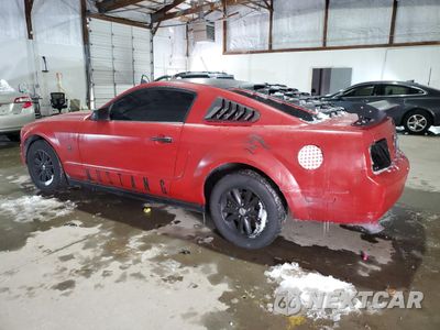 Drugie zdjęcie samochodu z przodu: 2005 FORD MUSTANG VIN:1ZVFT80N355117753 - miniatura