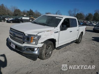 2020 FORD F150 SUPERCREW 1FTEW1CPXLKE77143 - główne zdjęcie licytacji z USA - miniatura