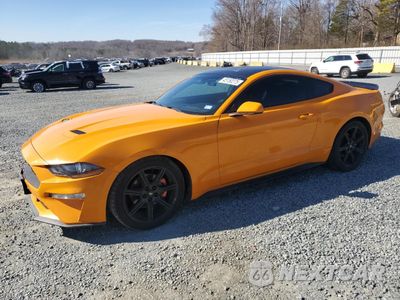 2019 FORD MUSTANG 1FA6P8TH7K5168378 - główne zdjęcie licytacji z USA - miniatura
