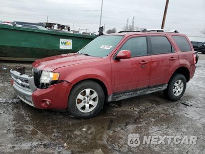 2011 FORD ESCAPE LIMITED 1FMCU0EG7BKA43003 - główne zdjęcie licytacji z USA - miniatura