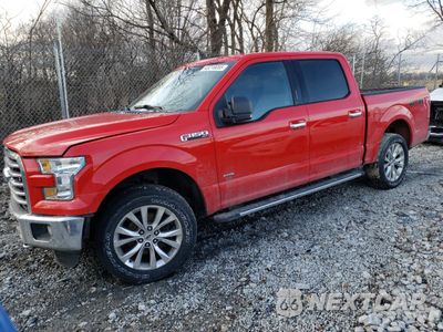 2016 FORD F150 SUPERCREW 1FTEW1EG4GFA61813 - główne zdjęcie licytacji z USA - miniatura