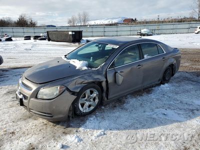 2010 CHEVROLET MALIBU 1LT 1G1ZC5EB8AF216546 - główne zdjęcie licytacji z USA - miniatura