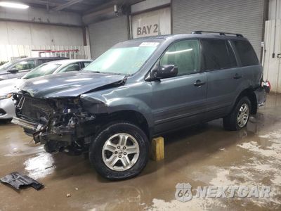 2005 HONDA PILOT EXL 5FNYF185X5B031644 - główne zdjęcie licytacji z USA - miniatura