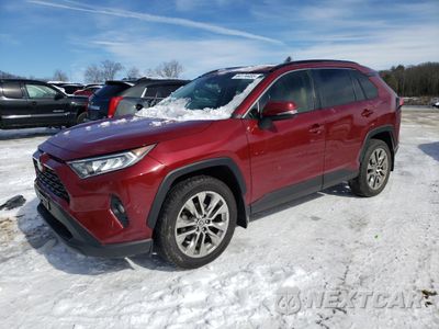2020 TOYOTA RAV4 XLE PREMIUM JTMA1RFV5LD068798 - główne zdjęcie licytacji z USA - miniatura