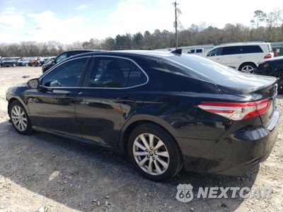 Drugie zdjęcie samochodu z przodu: 2019 TOYOTA CAMRY L VIN:4T1B11HK7KU159994 - miniatura