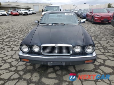 Piąte zdjęcie samochodu w środku: 1985 JAGUAR XJ6 VANDEN PLAS VIN:SAJAY1347FC399810 - miniatura