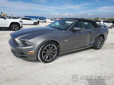 2013 FORD MUSTANG GT 1ZVBP8FF2D5279505 - główne zdjęcie licytacji z USA - miniatura