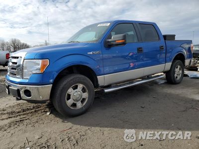 2010 FORD F150 SUPERCREW 1FTFW1EV4AFD60051 - główne zdjęcie licytacji z USA - miniatura