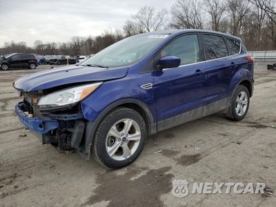 2014 FORD ESCAPE SE 1FMCU9G90EUB58232 - główne zdjęcie licytacji z USA - miniatura