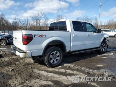 Trzecie zdjęcie samochodu z tyłu: 2011 FORD F150 SUPERCREW VIN:1FTFW1ET7BFD33393 - miniatura