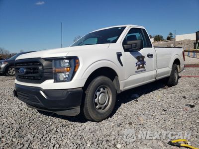 2023 FORD F150 1FTMF1C52PKF28389 - główne zdjęcie licytacji z USA - miniatura