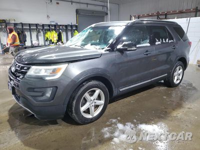 2016 FORD EXPLORER XLT 1FM5K8D82GGA54556 - główne zdjęcie licytacji z USA - miniatura