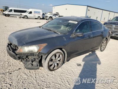 2008 HONDA ACCORD EXL JHMCP26808C054263 - główne zdjęcie licytacji z USA - miniatura