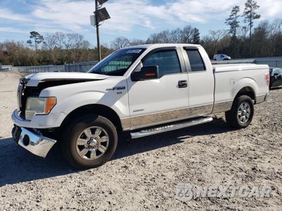 2011 FORD F150 SUPER CAB 1FTFX1ET9BFC10160 - główne zdjęcie licytacji z USA - miniatura
