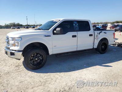 2017 FORD F150 SUPERCREW 1FTEW1CP5HFB67966 - główne zdjęcie licytacji z USA - miniatura