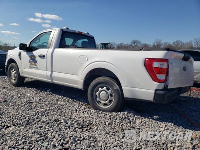 Drugie zdjęcie samochodu z przodu: 2023 FORD F150 VIN:1FTMF1C52PKF28389 - miniatura