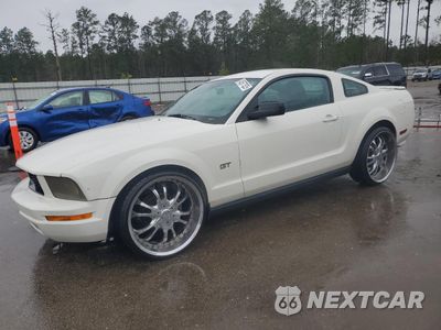 2007 FORD MUSTANG 1ZVFT80N875263360 - główne zdjęcie licytacji z USA - miniatura