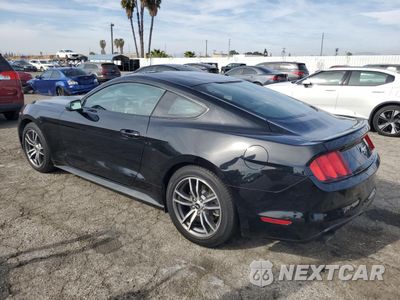 Drugie zdjęcie samochodu z przodu: 2017 FORD MUSTANG VIN:1FA6P8TH7H5305926 - miniatura