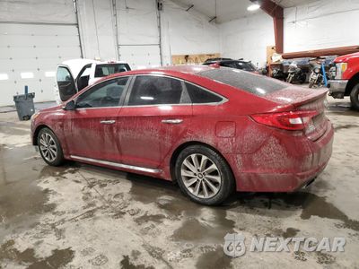Drugie zdjęcie samochodu z przodu: 2016 HYUNDAI SONATA SPORT VIN:5NPE34AF2GH330436 - miniatura