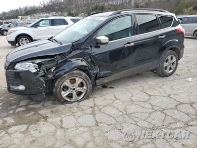 2016 FORD ESCAPE SE 1FMCU9GX6GUA37240 - główne zdjęcie licytacji z USA - miniatura