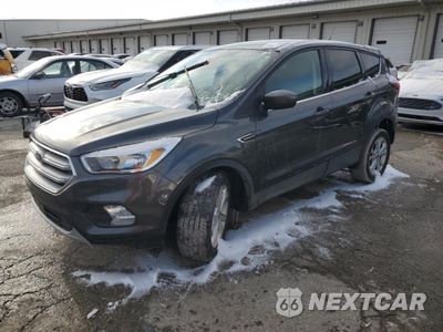 2019 FORD ESCAPE SE 1FMCU0GD8KUC23629 - główne zdjęcie licytacji z USA - miniatura