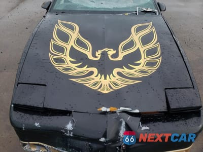 Zdjęcie 12 z 13 samochodu: 1989 PONTIAC FIREBIRD VIN:1G2FS21S7KL261728 - miniatura