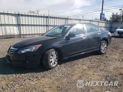 2011 HONDA ACCORD EXL 5KBCP3F84BB003349 - główne zdjęcie licytacji z USA - miniatura