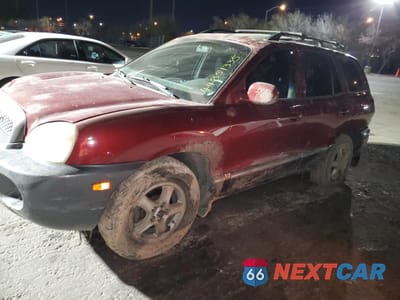 2003 HYUNDAI SANTA FE GLS KM8SC13D83U353745 - główne zdjęcie licytacji z USA - miniatura