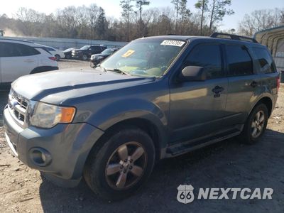 2012 FORD ESCAPE XLT 1FMCU0D74CKB48567 - główne zdjęcie licytacji z USA - miniatura