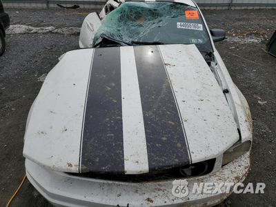 Zdjęcie 11 z 12 samochodu: 2007 FORD MUSTANG VIN:1ZVFT80N275346525 - miniatura