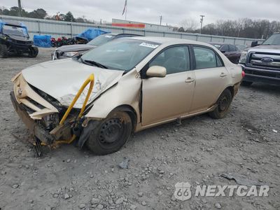 2011 TOYOTA COROLLA BASE 2T1BU4EE4BC545829 - główne zdjęcie licytacji z USA - miniatura
