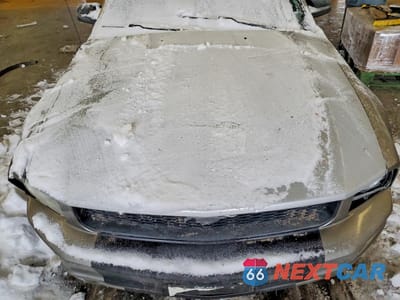 Zdjęcie 11 z 13 samochodu: 2008 FORD MUSTANG VIN:1ZVHT80N685208884 - miniatura