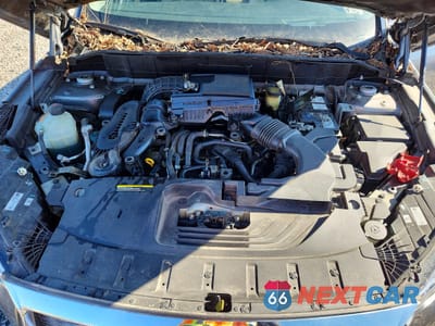 Zdjęcie 12 z 13 samochodu: 2019 INFINITI QX50 ESSENTIAL VIN:3PCAJ5M19KF125679 - miniatura