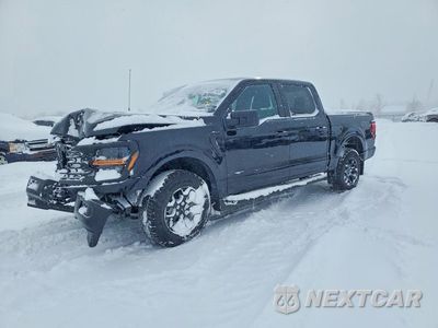 2025 FORD F150 STX 1FTEW2LP7SFA55411 - główne zdjęcie licytacji z USA - miniatura