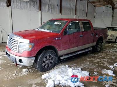 2011 FORD F150 SUPERCREW 1FTFW1EFXBFA05380 - główne zdjęcie licytacji z USA - miniatura