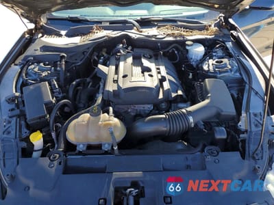 Zdjęcie 11 z 13 samochodu: 2019 FORD MUSTANG VIN:1FA6P8TH7K5187304 - miniatura