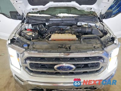 Zdjęcie 11 z 12 samochodu: 2021 FORD F150 SUPERCREW VIN:1FTEW1EB5MKE00540 - miniatura