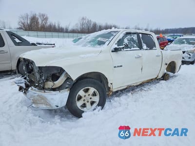 2009 DODGE RAM 1500 1D3HV13PX9S775613 - główne zdjęcie licytacji z USA - miniatura