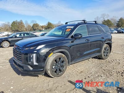 2025 HYUNDAI PALISADE XRT KM8R3DGEXSU948663 - główne zdjęcie licytacji z USA - miniatura