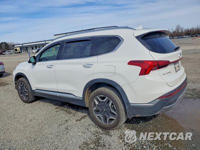 Drugie zdjęcie samochodu z przodu: 2023 HYUNDAI SANTA FE LIMITED VIN:5NMS4DAL2PH518621 - miniatura