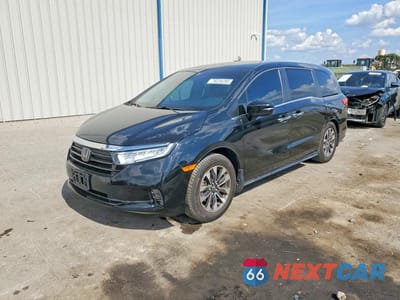 2022 HONDA ODYSSEY EXL 5FNRL6H77NB010214 - główne zdjęcie licytacji z USA - miniatura