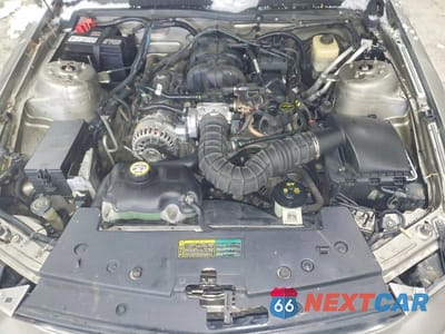 Zdjęcie 11 z 11 samochodu: 2008 FORD MUSTANG VIN:1ZVHT80N485137703 - miniatura