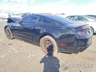 Drugie zdjęcie samochodu z przodu: 2014 FORD MUSTANG VIN:1ZVBP8AM5E5330776 - miniatura