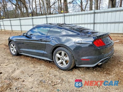 Drugie zdjęcie samochodu z przodu: 2019 FORD MUSTANG VIN:1FA6P8TH3K5124961 - miniatura