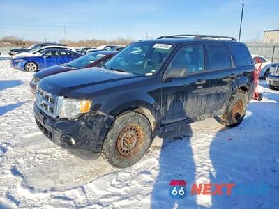 2009 FORD ESCAPE XLT 1FMCU03G19KA90749 - główne zdjęcie licytacji z USA - miniatura